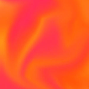 Meet your Posher, Hayley